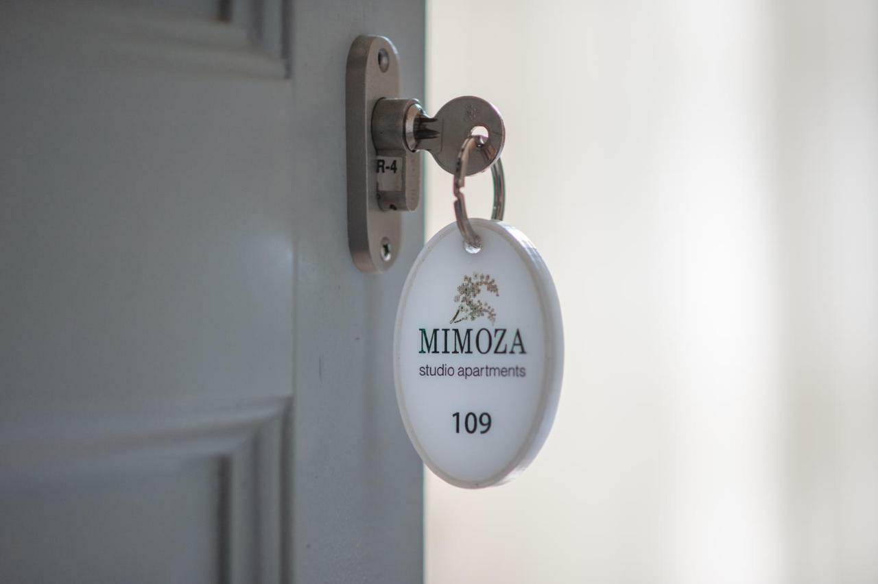 Mimoza Hotell Spétses Eksteriør bilde